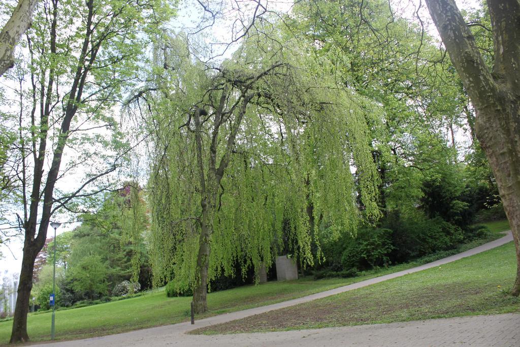 Privatzimmer Hagen Хаген Екстериор снимка